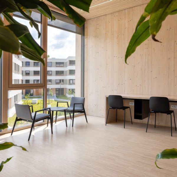 Flex-coworking in mizica