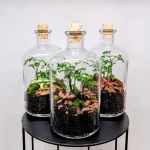 Delavnica: Izdelaj si svoj terarij