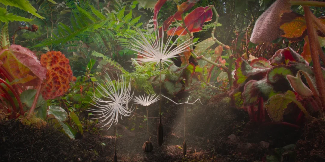 Zajem zaslona iz filma Potovanje regratove lučke