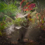 Kino Bled: Potovanje regratove lučke