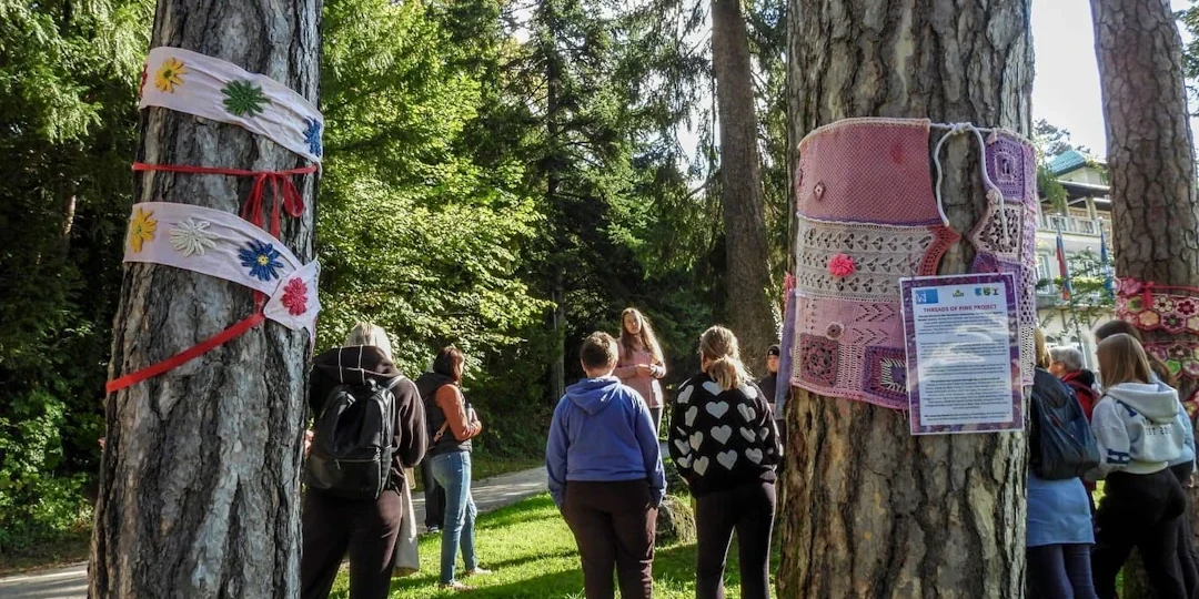 rožnati oktober Okrašena drevesa pod občino za Rožnati oktober