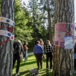 Rožnati oktober na Bledu