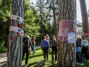 Dogodek: Rožnati oktober na Bledu